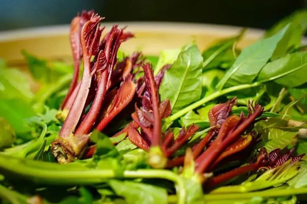 图源：甘肃发布