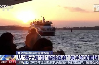青岛海洋旅游为何受欢迎？从“橘子海”到“追鸥逐浪” 海洋旅游圈粉