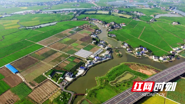 龙虎科技生态公司。