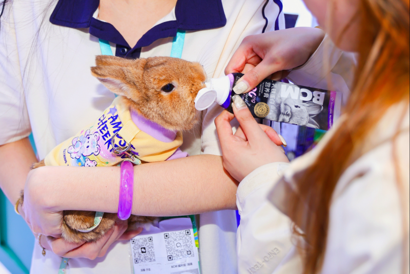 燃爆深宠展！BCM 小宠专家携宝藏单品重磅出圈，打造小宠科学喂养解决方案！