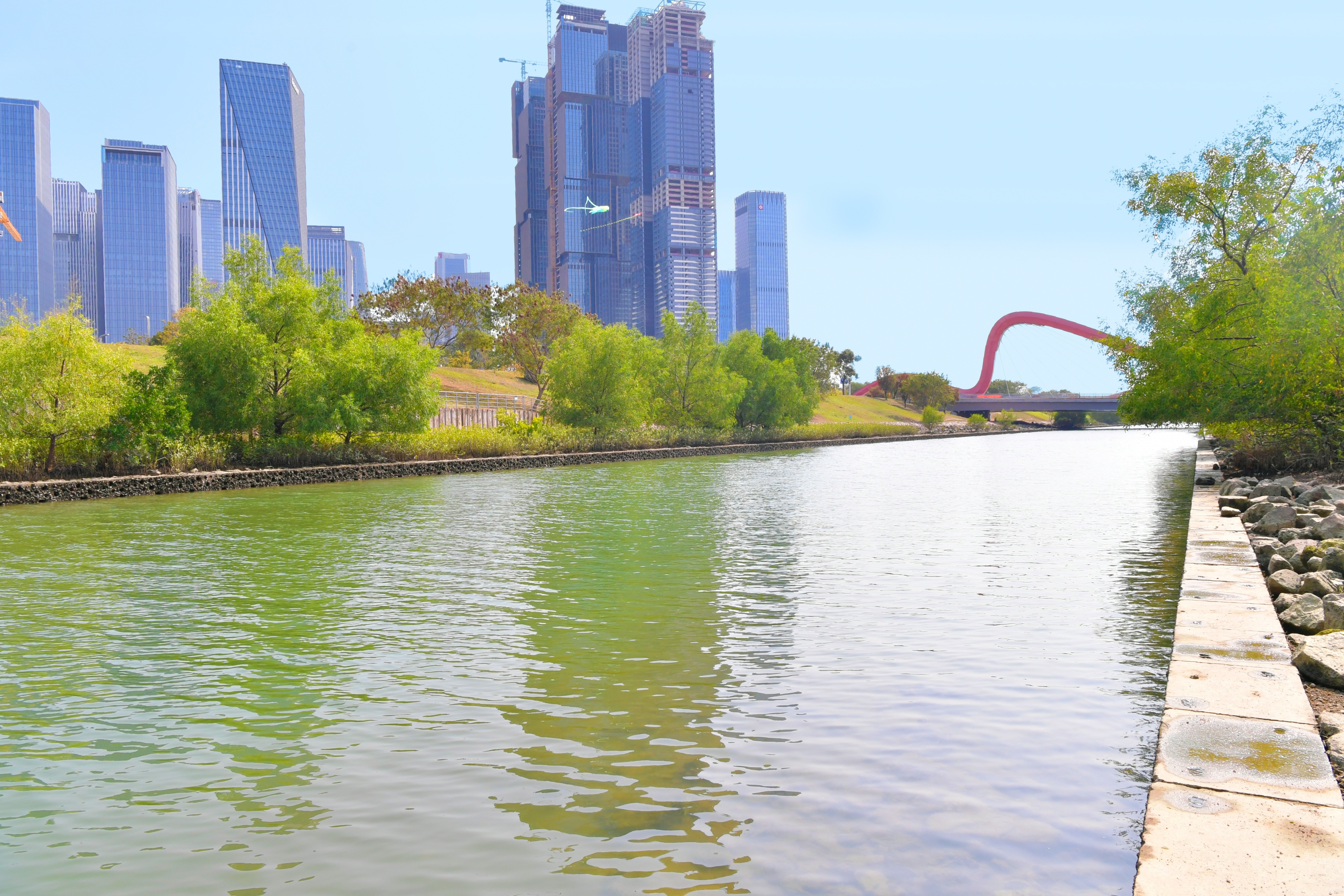 从双界河到前海中心河  一家医院与一条河的十年蜕变