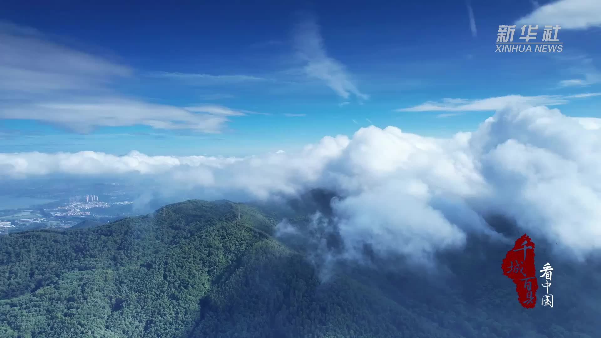 千城百县看中国｜广东虎门：春分已至 万物和鸣