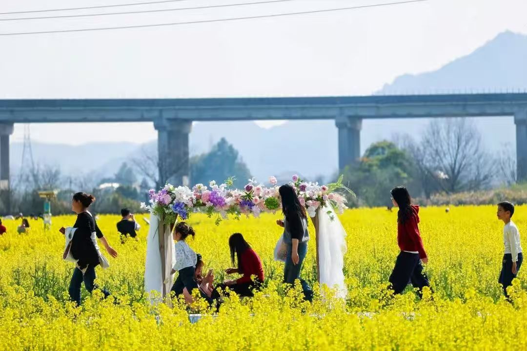 春满花田 国风霓裳:庐山市温泉镇油菜花游园会浪漫启幕