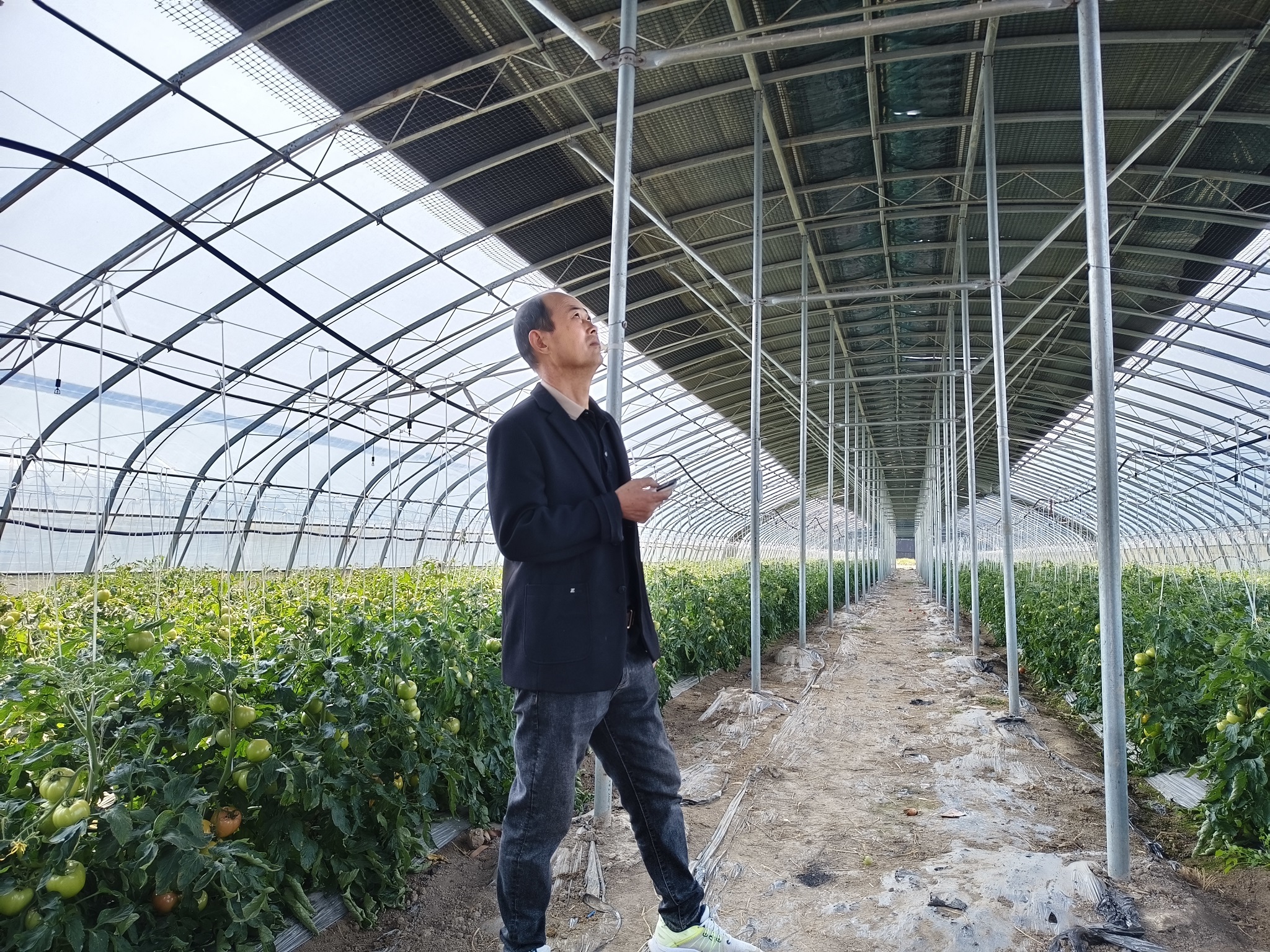 水肥一体、智能控温，宜黄西红柿“闯”进杭州市场