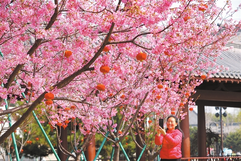 九江：春风拂面景如画 踏青寻美正当时（图）