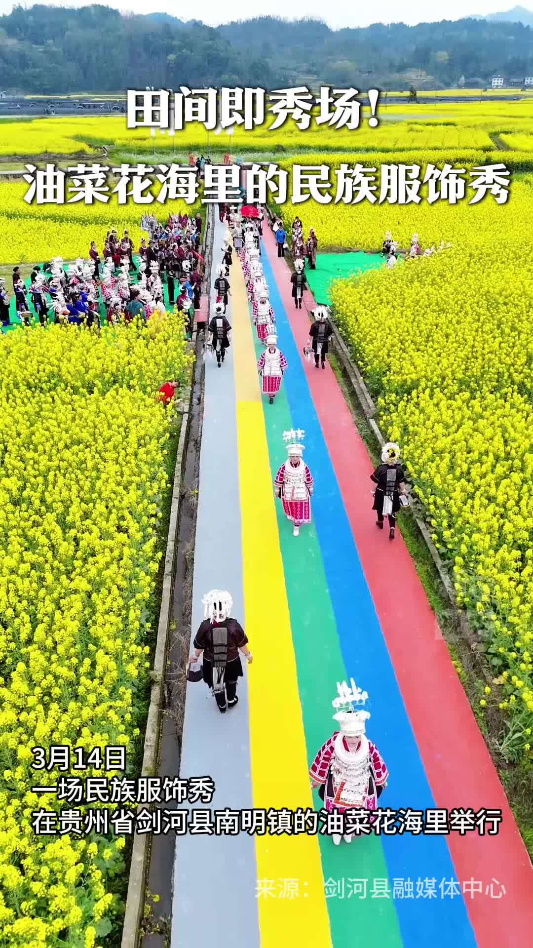 田间即秀场！油菜花海里的民族服饰秀