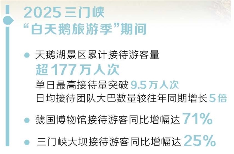 一座城与一群鸟的双向奔赴