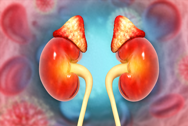 男性最补的药就是精血，1味补血，1味补精，从根源改善体虚