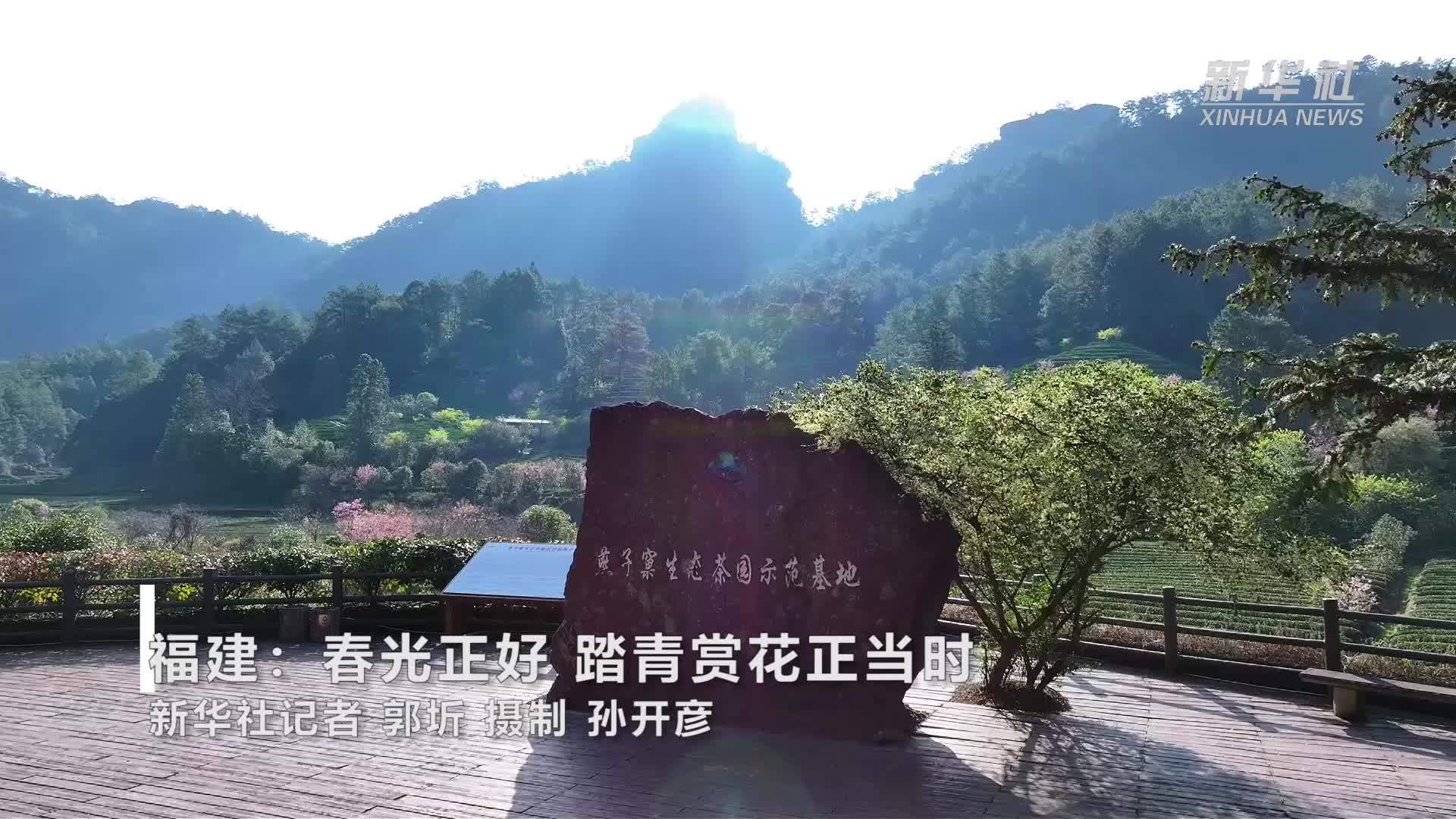 福建：春光正好 踏青赏花正当时