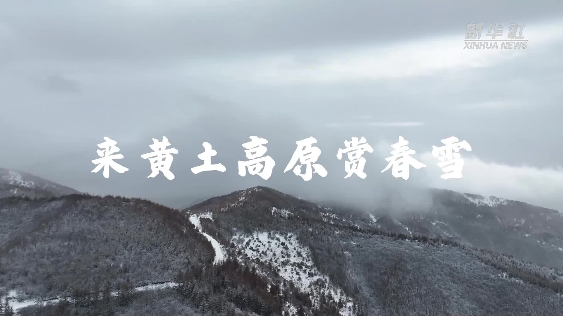 来黄土高原赏春雪