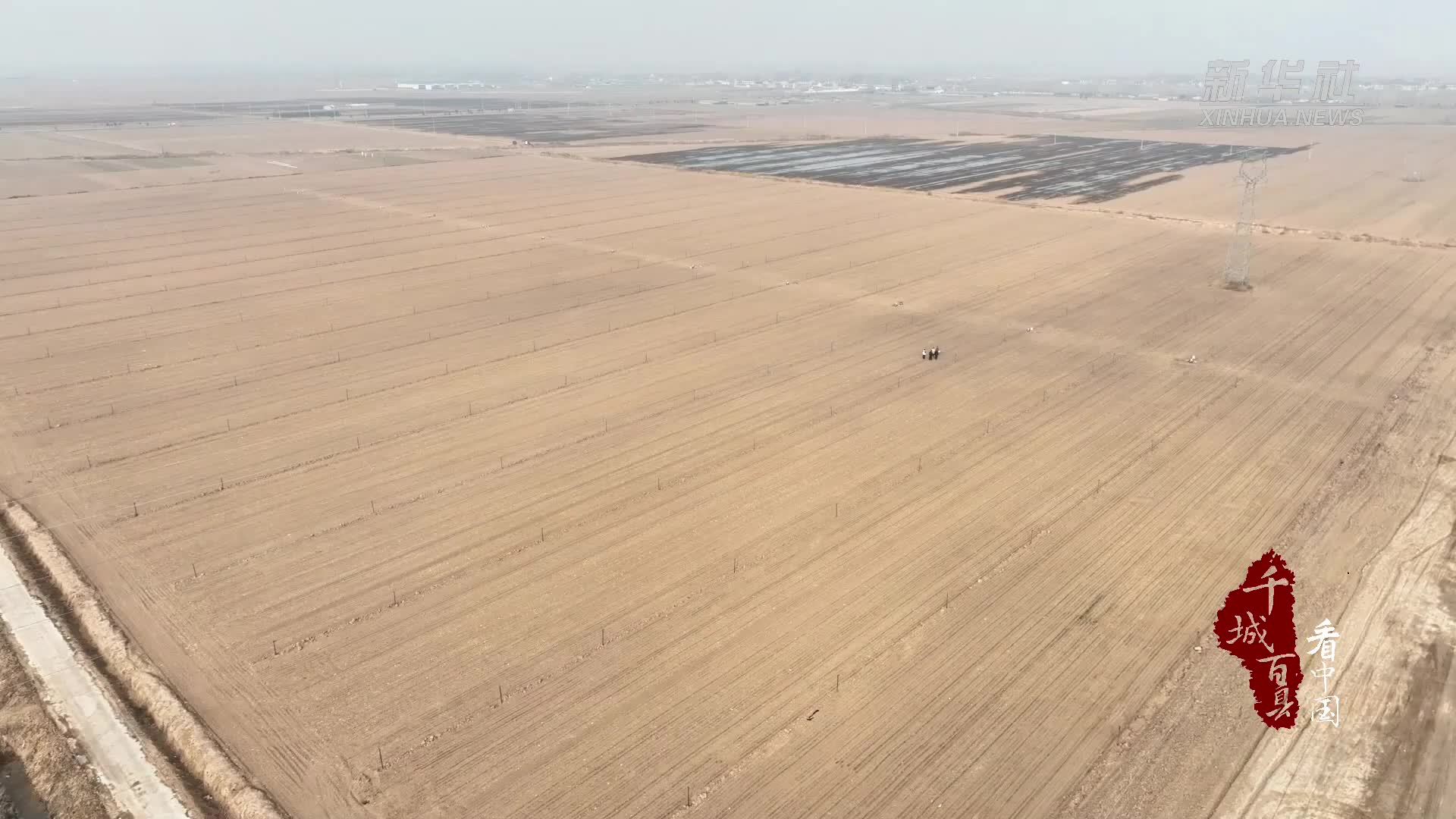 千城百县看中国丨山东巨野：农技壮苗正当时