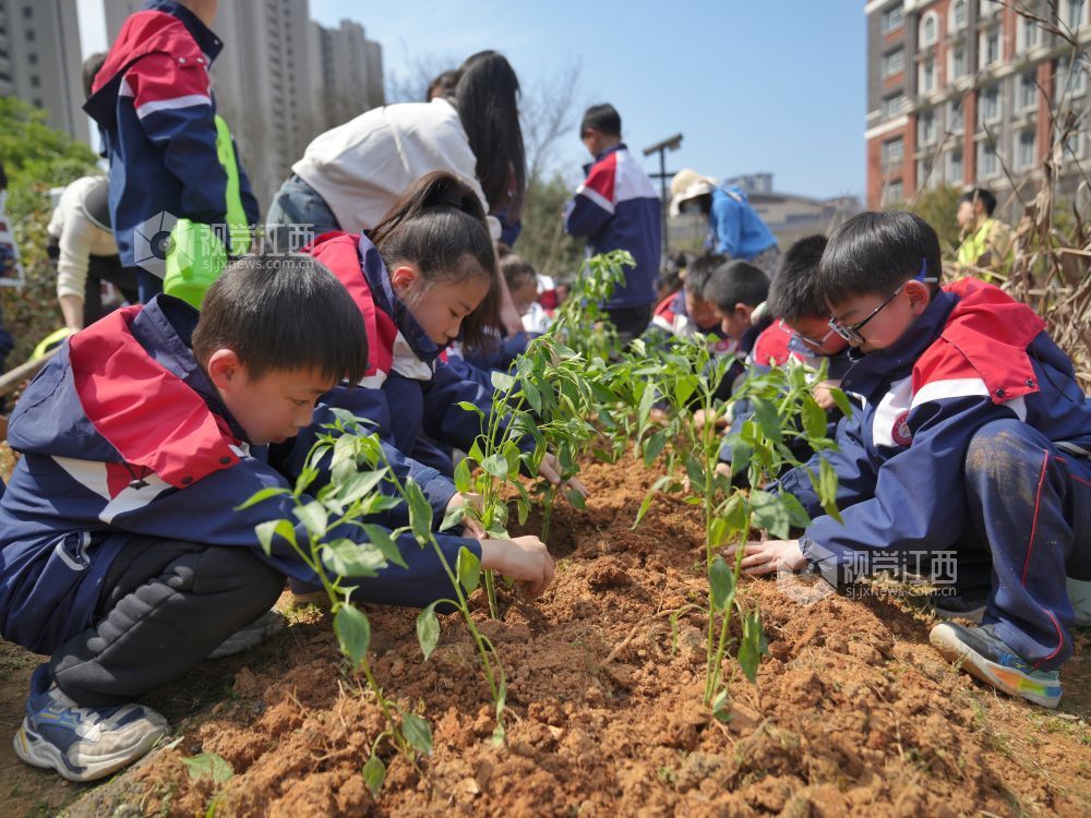 江西芦溪：中医药文化进校园（图）