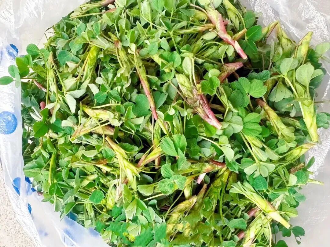 图源：敦煌发布