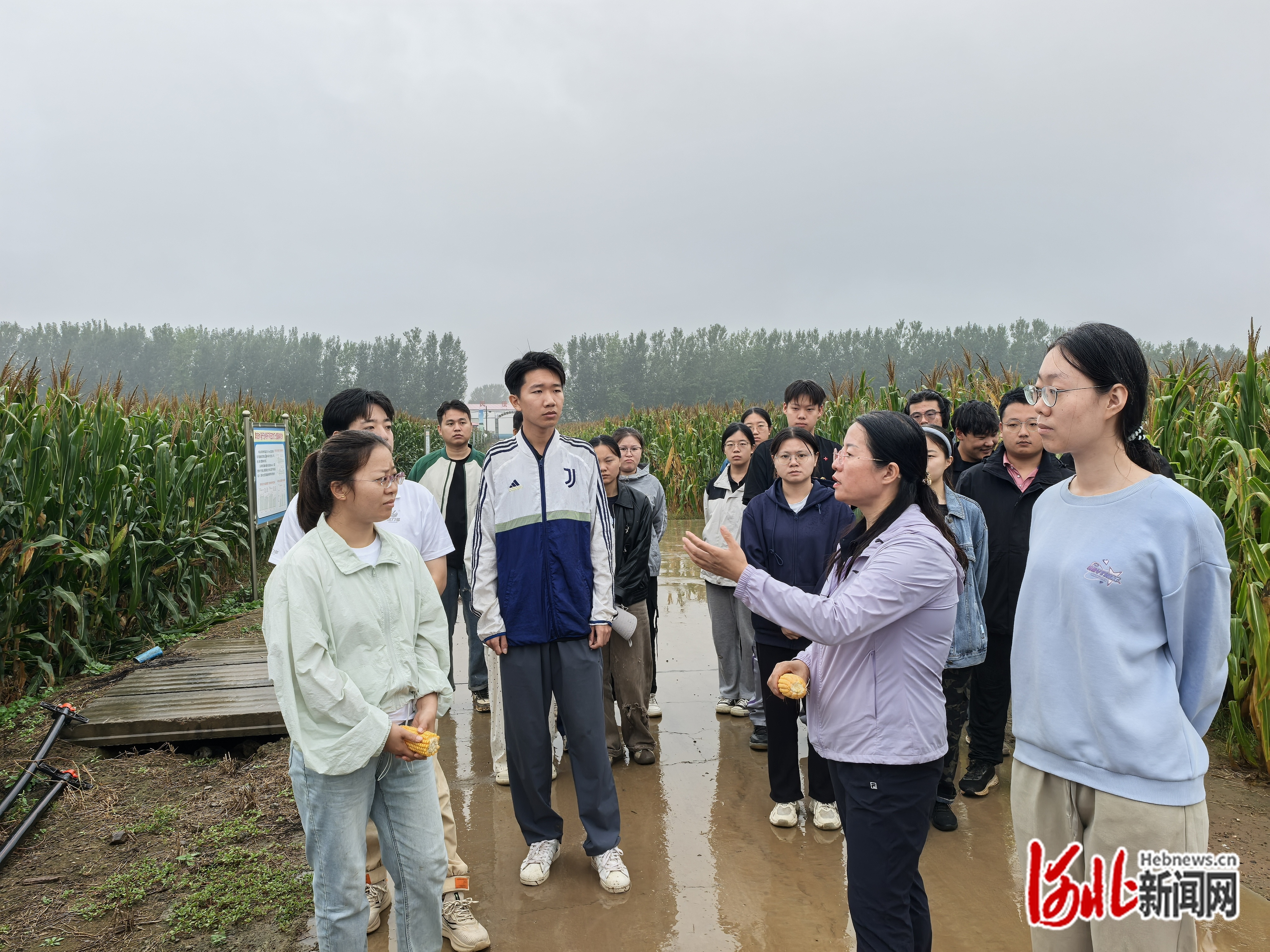 彭正萍博士在农田调研。受访者门明新供图