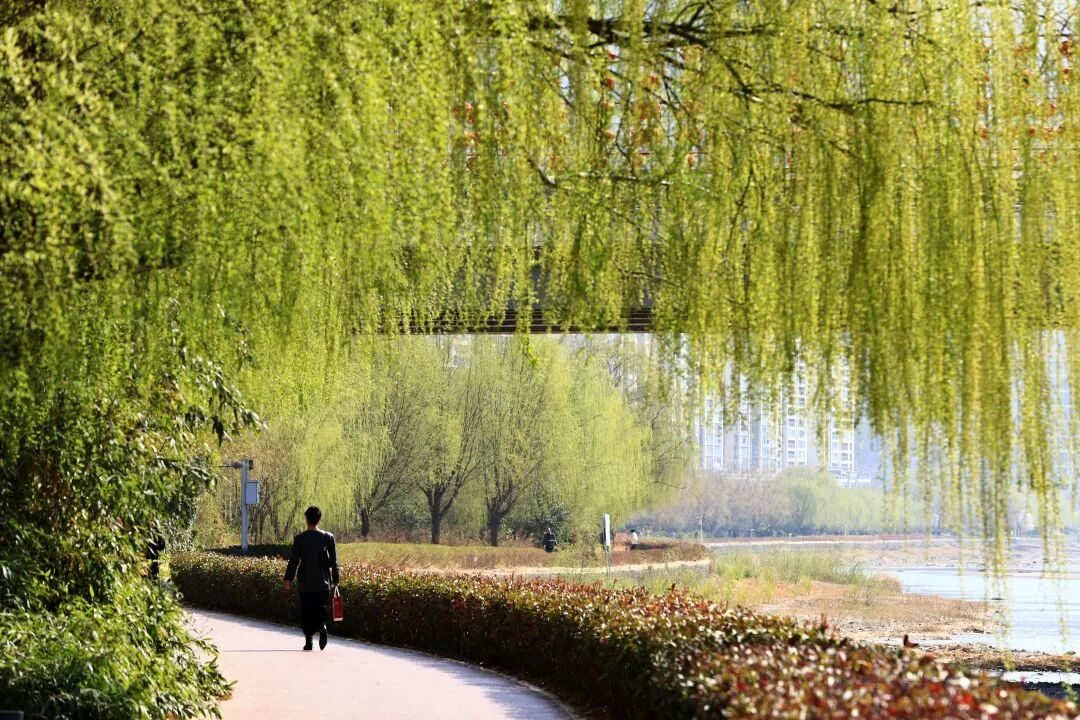 本组图片丨后斌玉