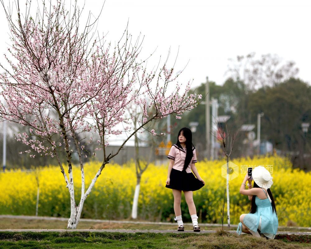 江西分宜：介溪湿地 春色宜人（图）
