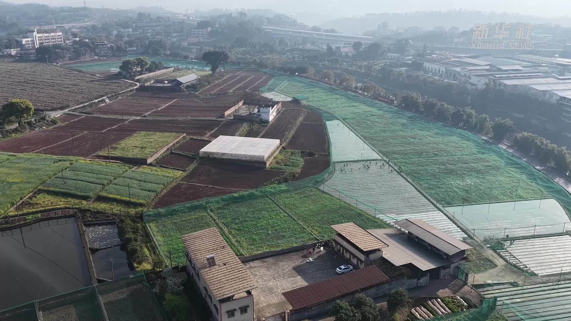 春耕一线观察：试验田里的别样春耕