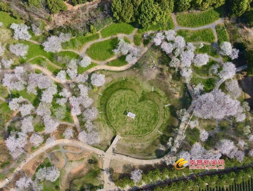 (图片来源:南昌新闻网)