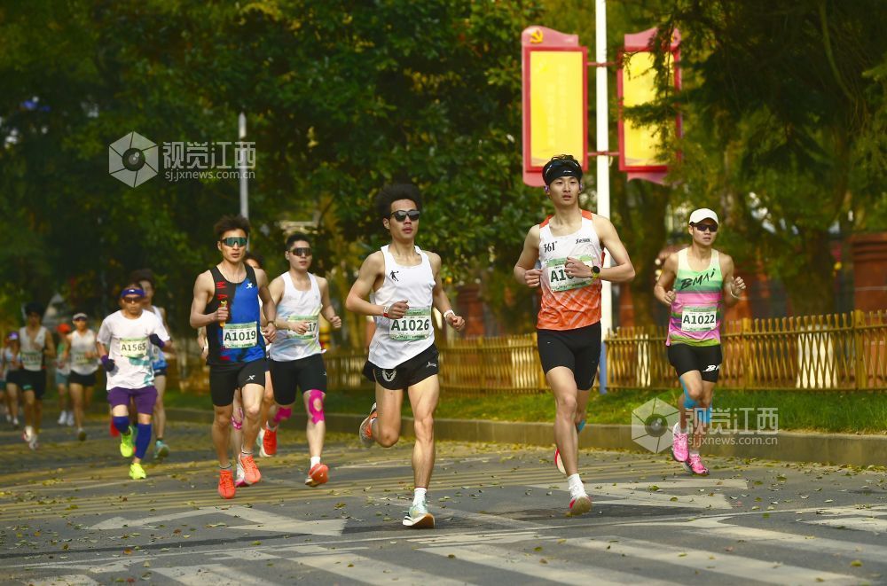2026年3月15日，南昌首场半程马拉松在鲤鱼洲白鹤小镇鸣枪开跑。