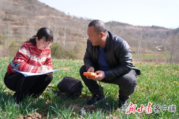 农技人员采集田间数据