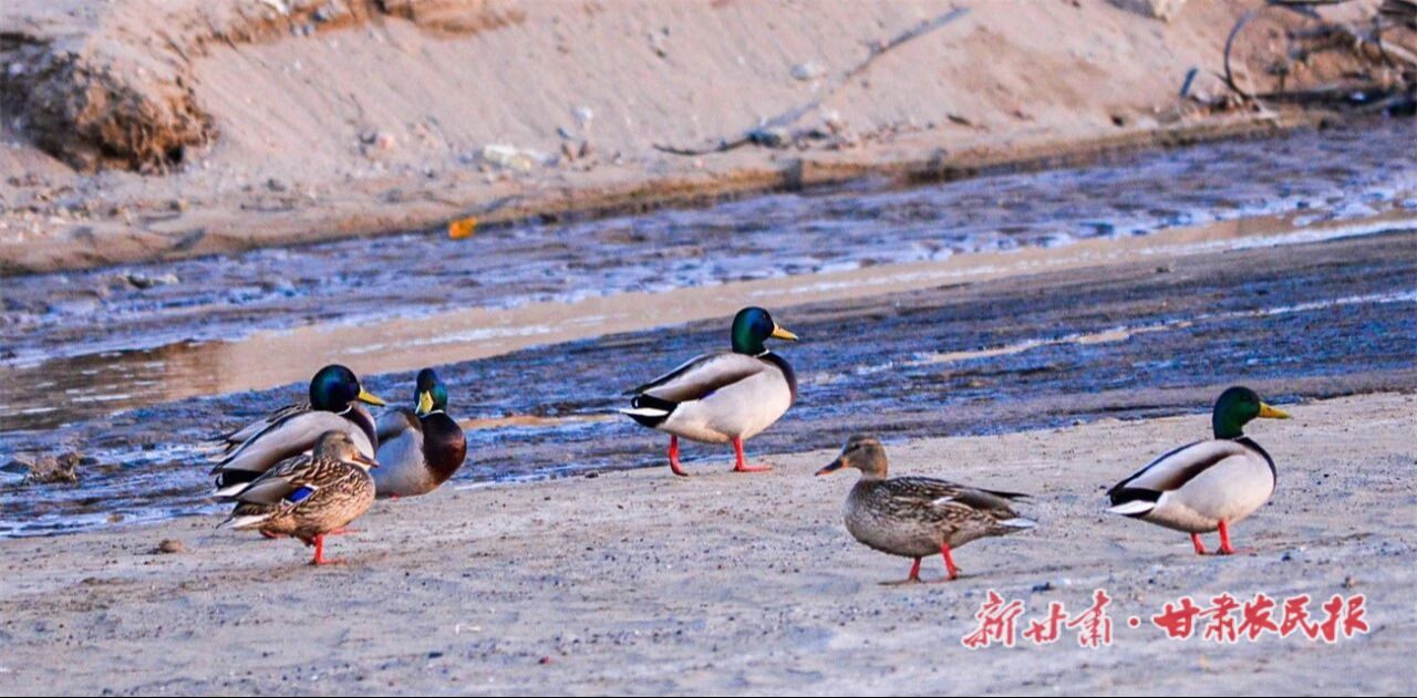 lQDPJxNGxDtcABHNAnfNBQCwn2GG8hNLGN0JhwgxDaX4AA_1280_631