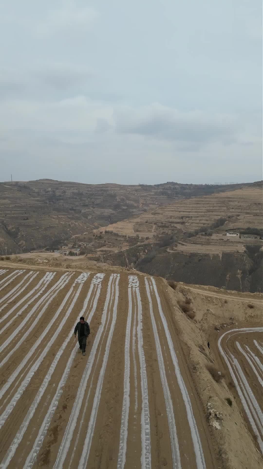 甘肃秦安：抢墒覆膜备春耕