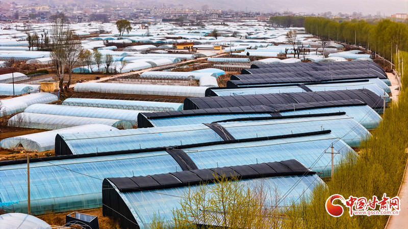 武山县洛门镇宋庄村一座座现代化温室大棚整齐排列