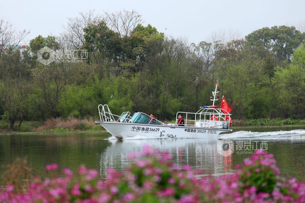2026年3月18日,江西省吉安市泰和县农业综合行政执法大队执法人员正在赣江泰和段水域进行巡江护水。