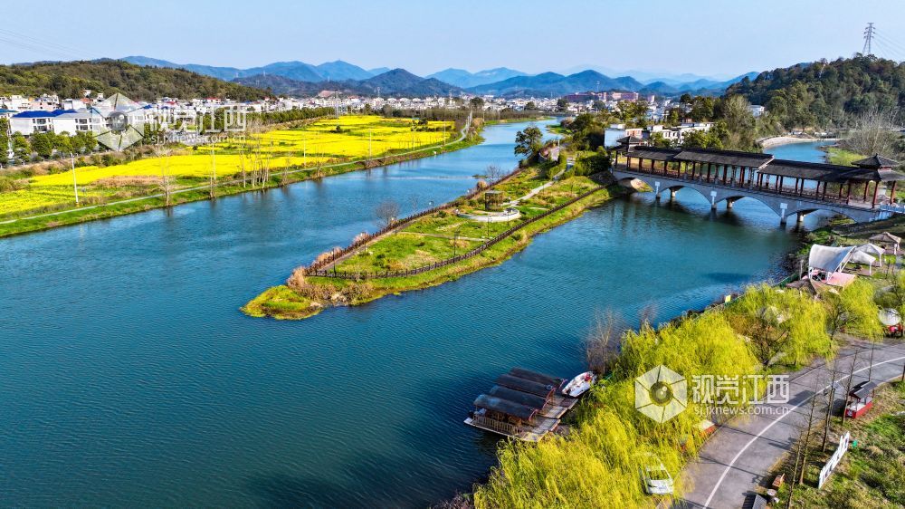 江西萍乡：油菜花开乡村美（图）