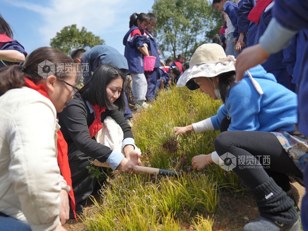 江西芦溪：中医药文化进校园（图）