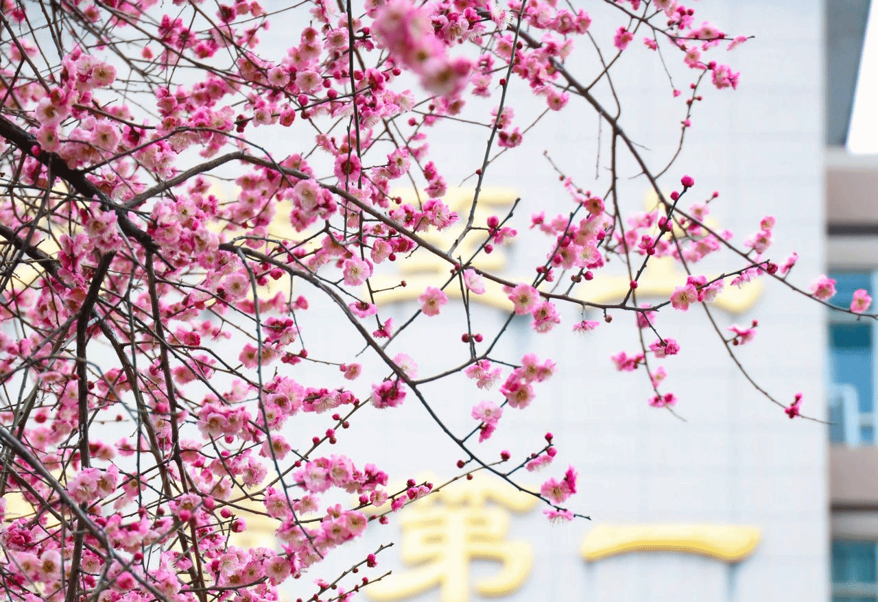 培煊平：春潮涌动谱新篇 奋楫扬帆正当时