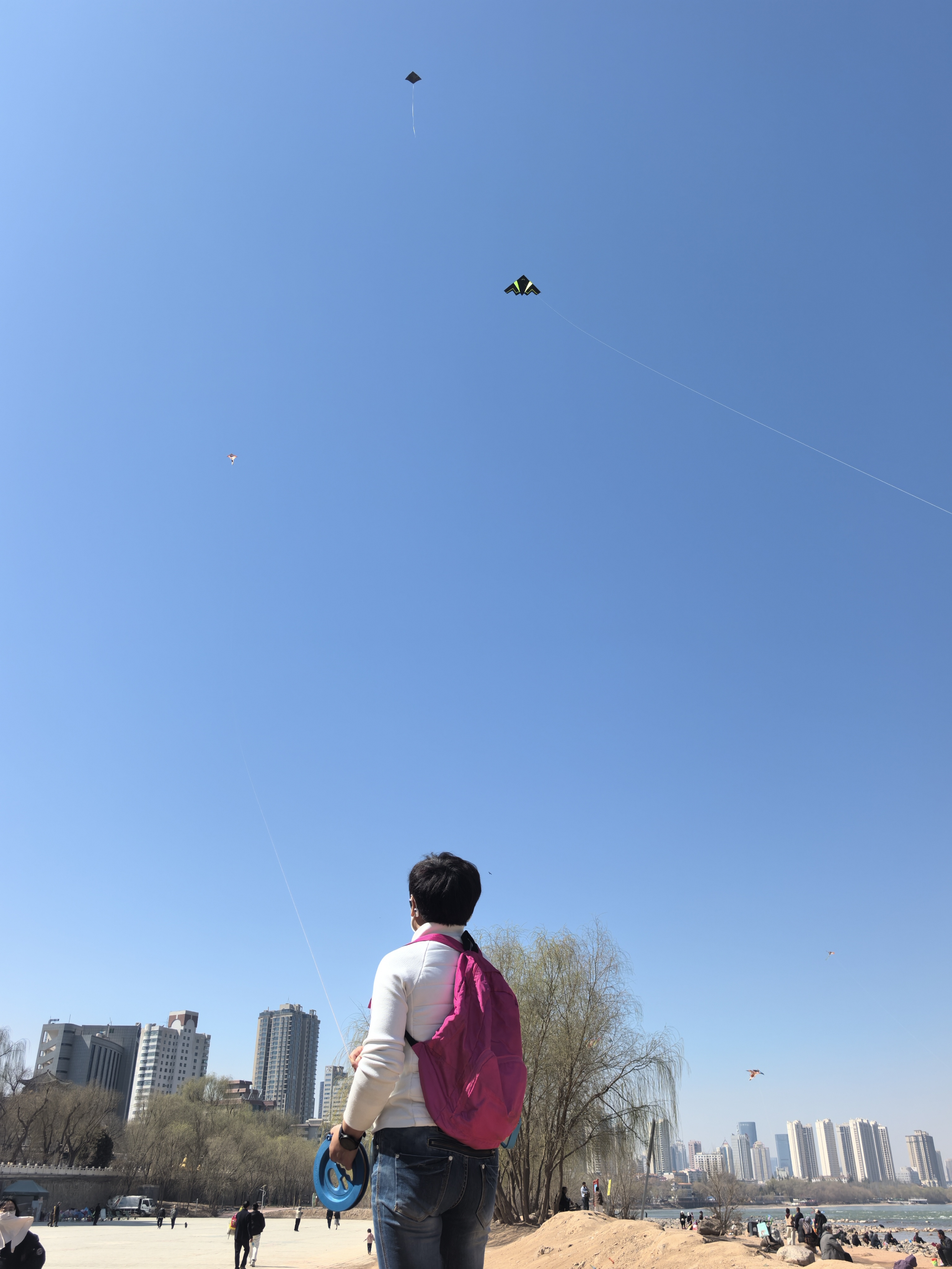 广场上风筝飘飘