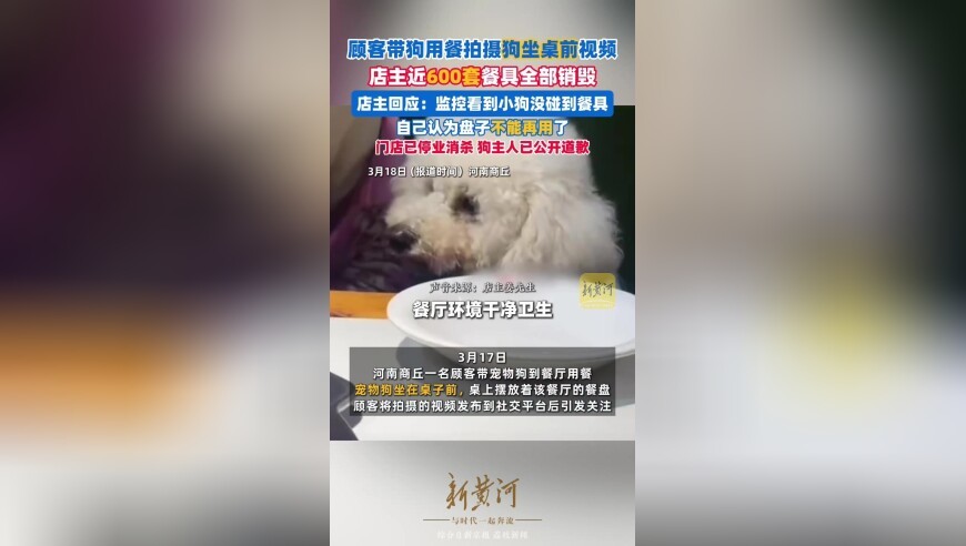 顾客带狗用餐拍摄狗坐桌前视频后，店主近600套餐具全部销毁
