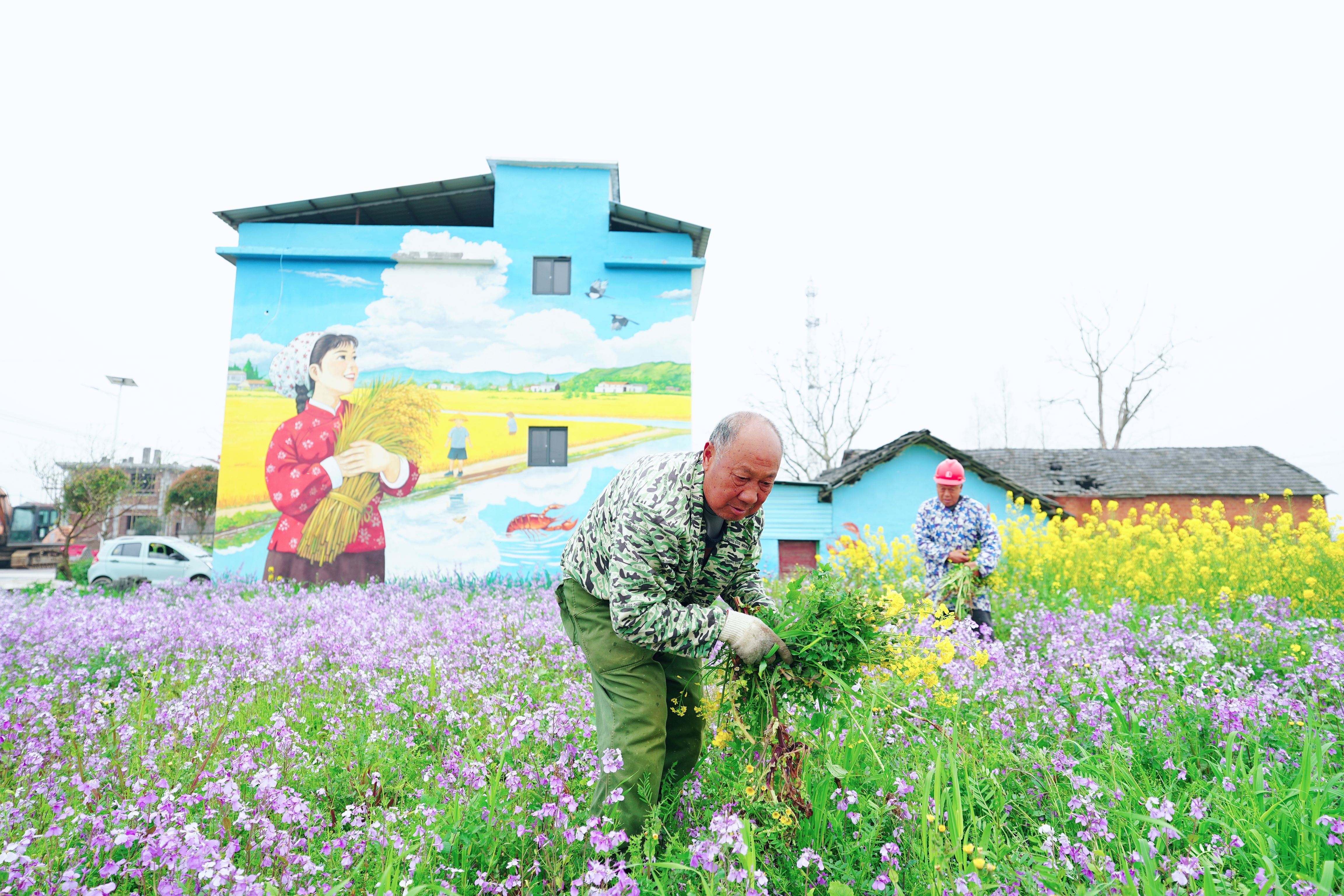 2026潜江“满城芳华”行动再升级