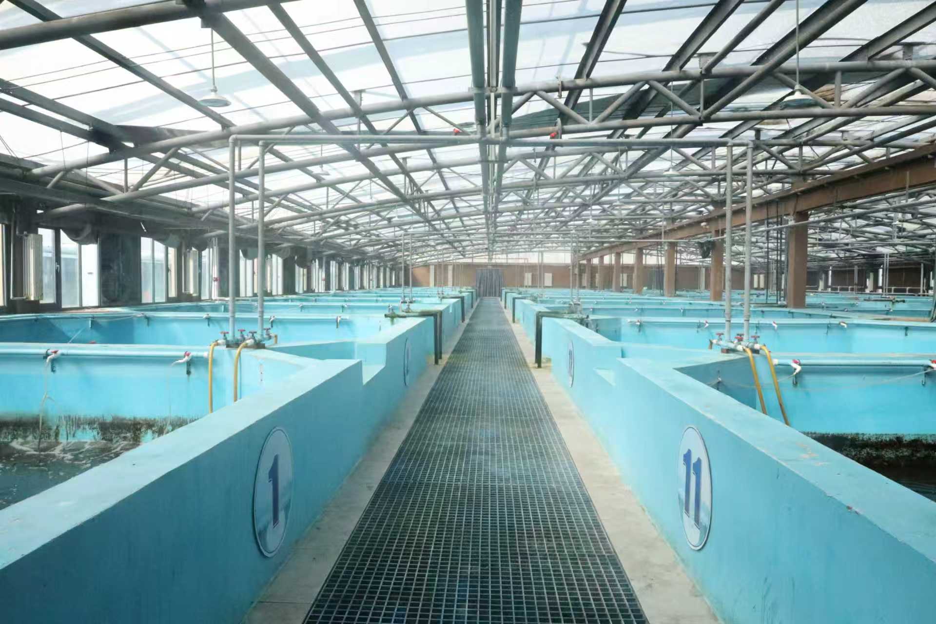 重新定义“海”的价值：赣榆如何锻造“蓝色引擎”？