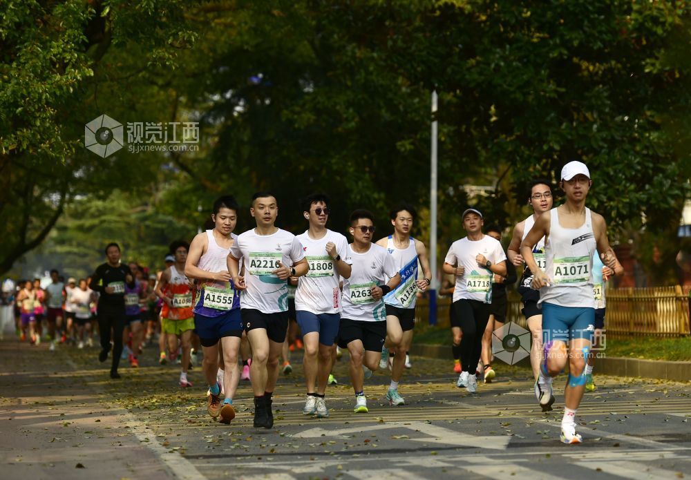 2026年3月15日，南昌首场半程马拉松在鲤鱼洲白鹤小镇鸣枪开跑。