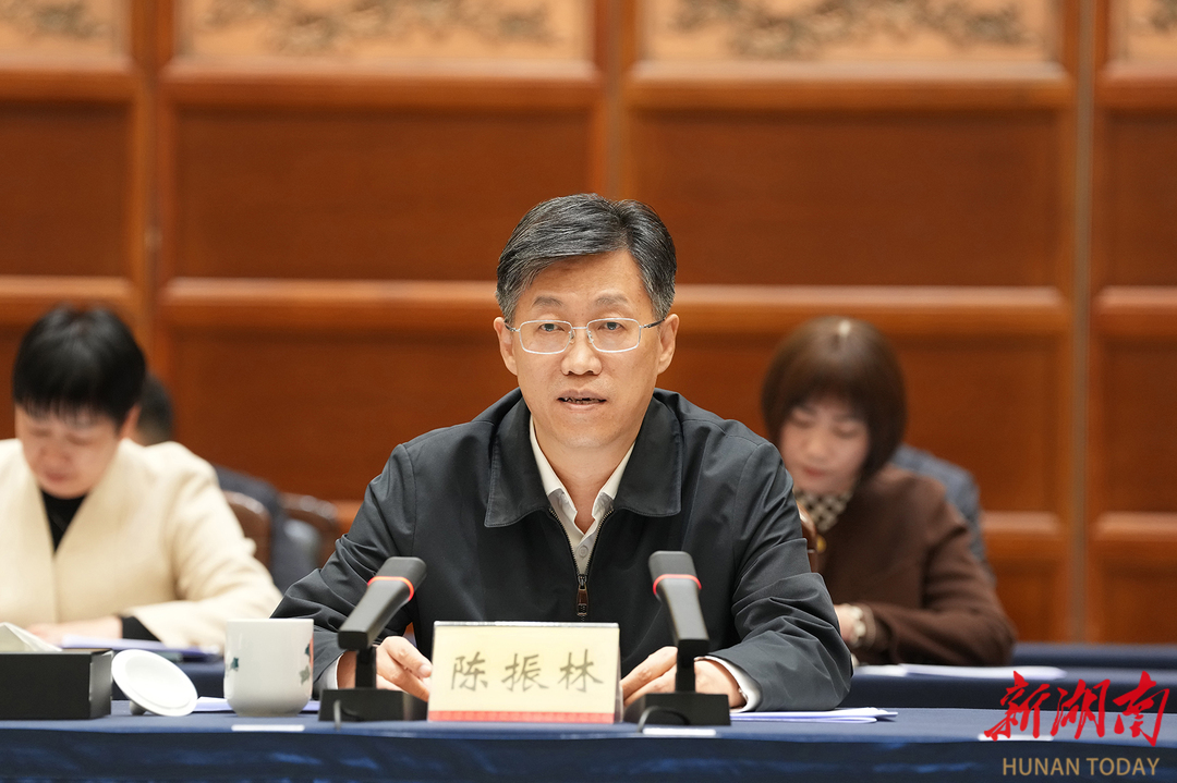 陈振林讲话。