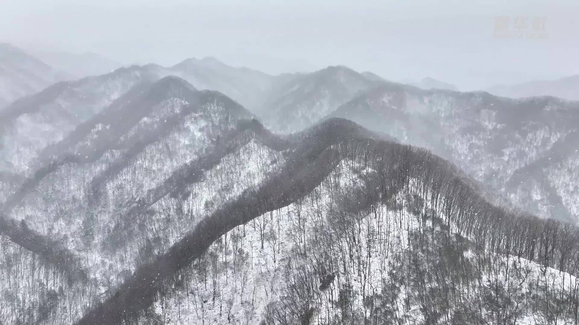 春雪落秦岭  诗意漫山峦