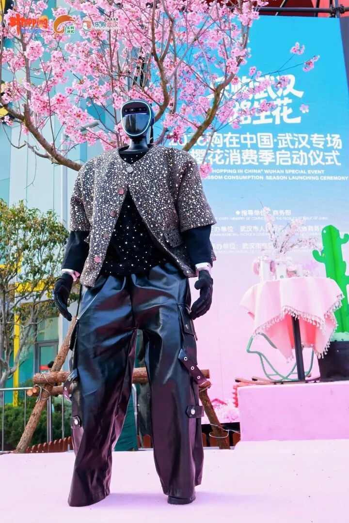 2026购在中国·武汉专场暨樱花消费季浪漫启幕以花为媒激活全域消费新动能(图3)