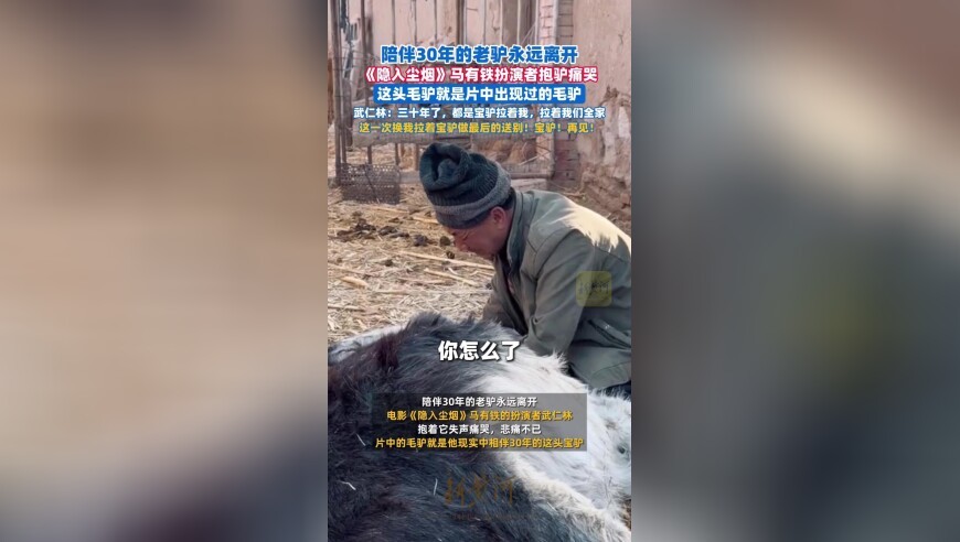 陪伴30年的老驴永远离开，《隐入尘烟》马有铁扮演者抱驴痛哭