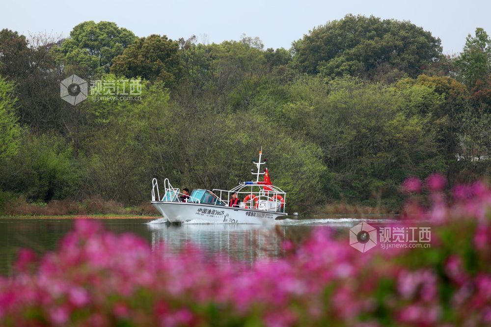2026年3月18日,江西省吉安市泰和县农业综合行政执法大队执法人员正在赣江泰和段水域进行巡江护水。