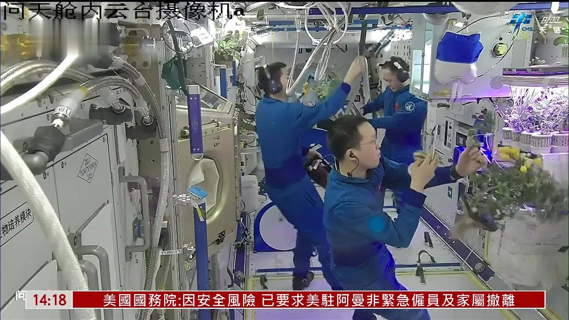 “太空番茄”喜迎丰收 神二十一乘组开展多项空间科学实(试)验