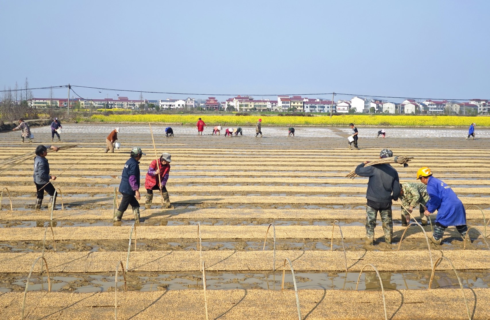 大棚育秧、良种示范、农技指导，新余各地抢抓农时忙春耕