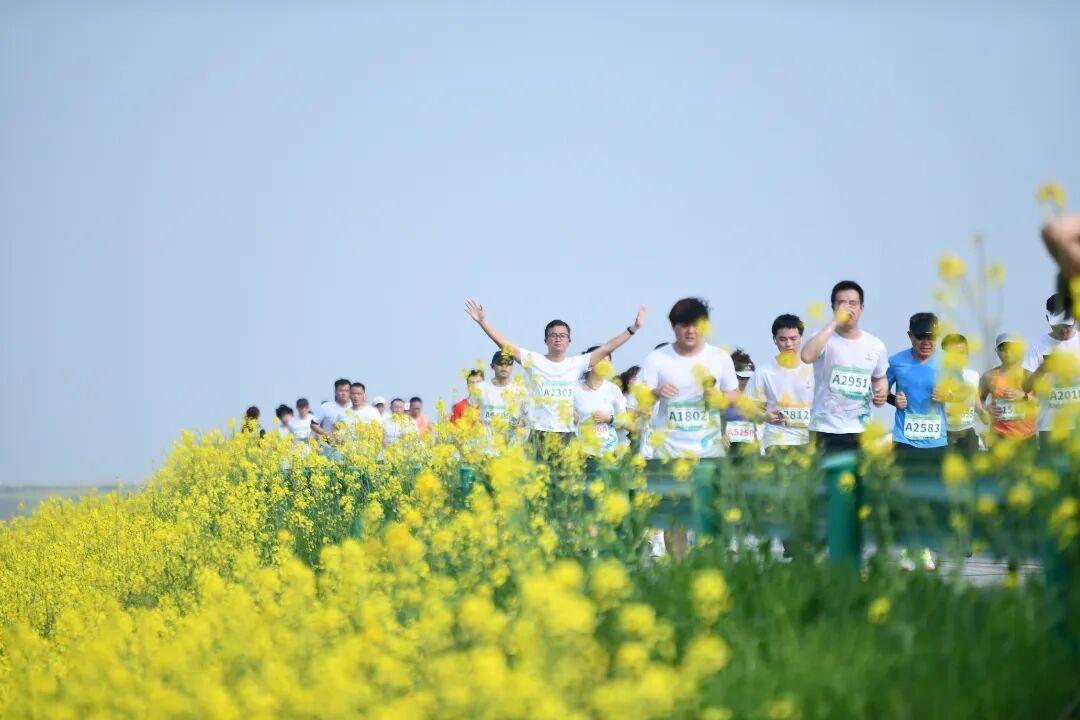将春日美景转化为人气与商机 南昌赏花经济的农文旅商融合密码