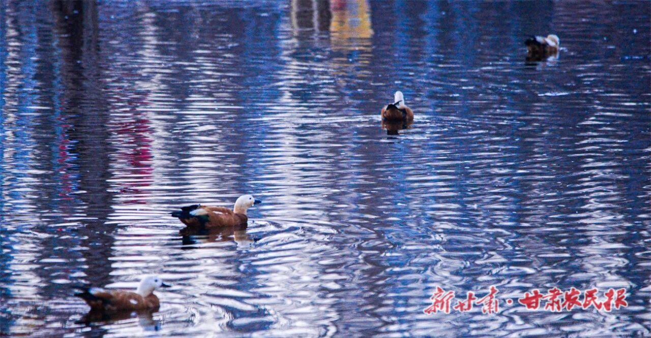 lQDPKIVR6mnf4BHNAprNBQCweSoM52xjhjgJhwgvzIKTAA_1280_666