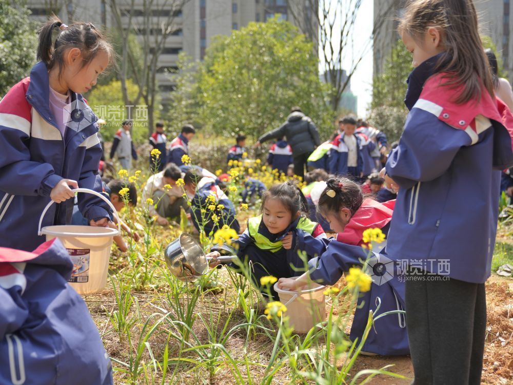 江西芦溪：中医药文化进校园（图）