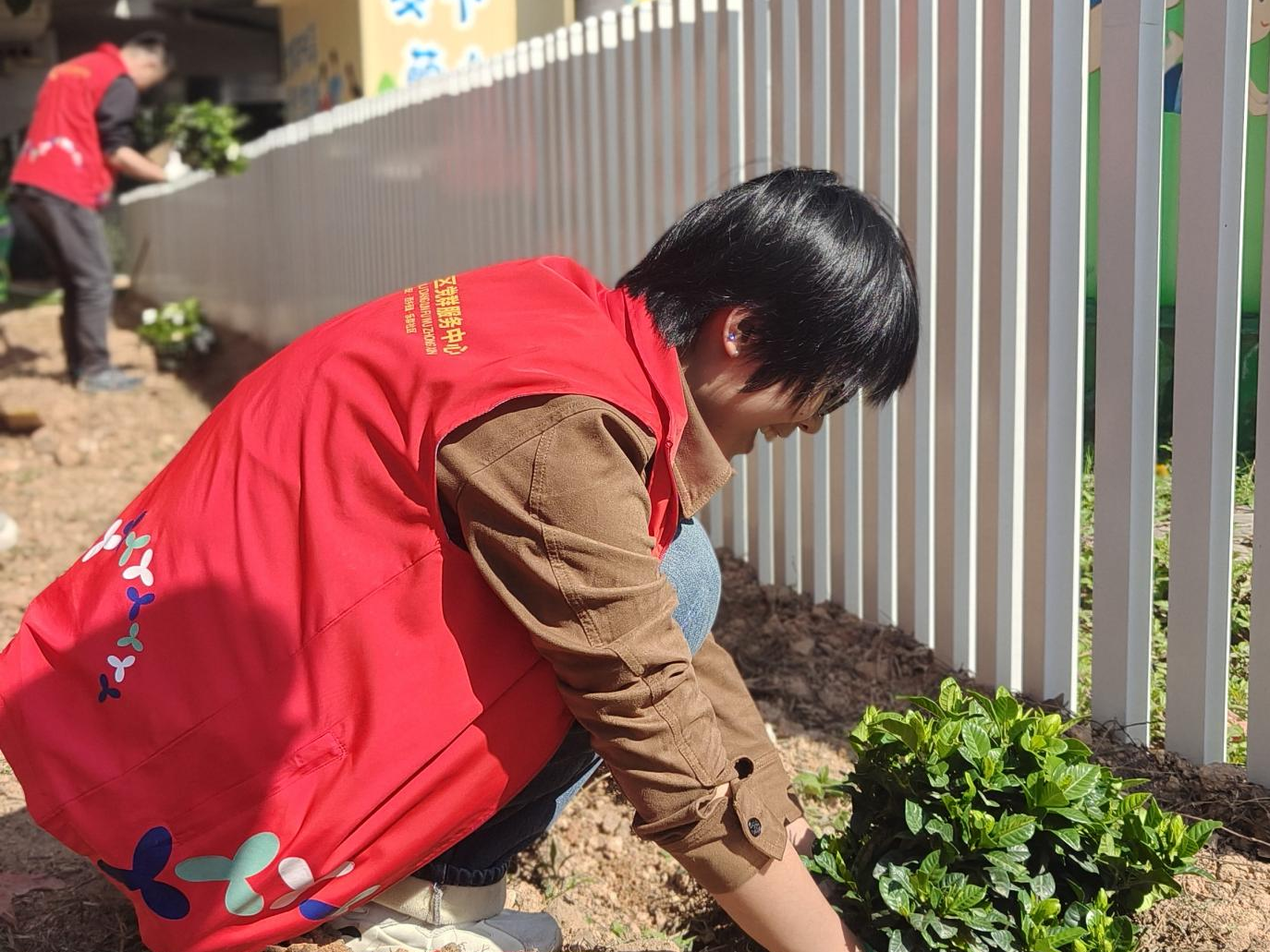 植绿护美践初心，西乡街道与乐群社区结对共建添新绿