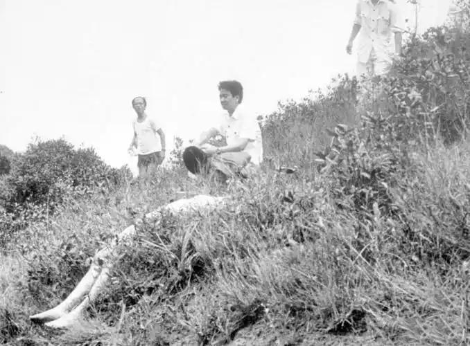 图 1:警方进行现在尸检