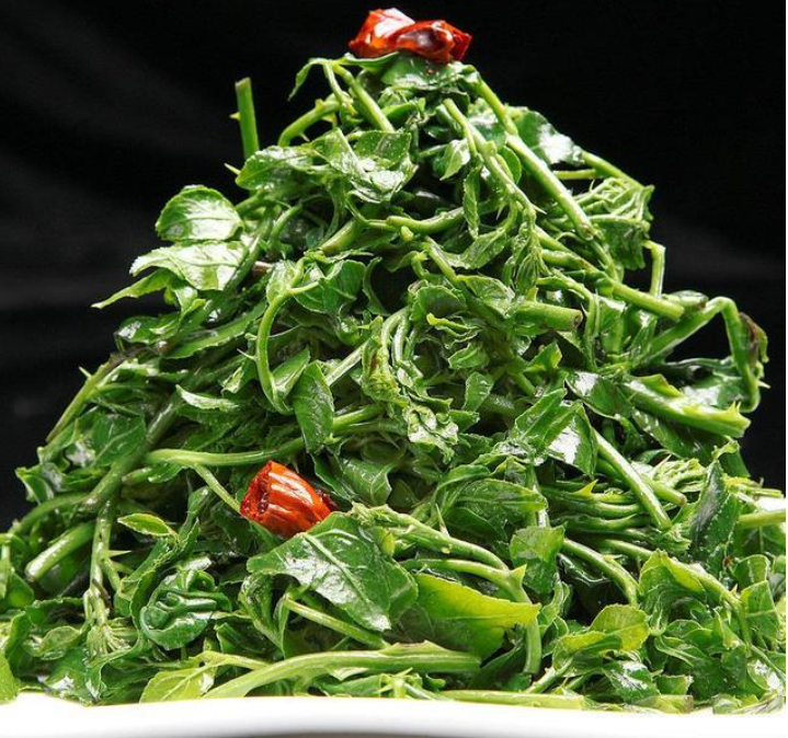 图源：甘肃发布