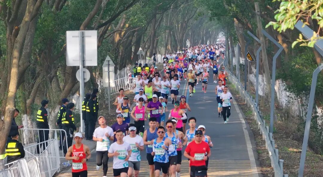 将春日美景转化为人气与商机 南昌赏花经济的农文旅商融合密码